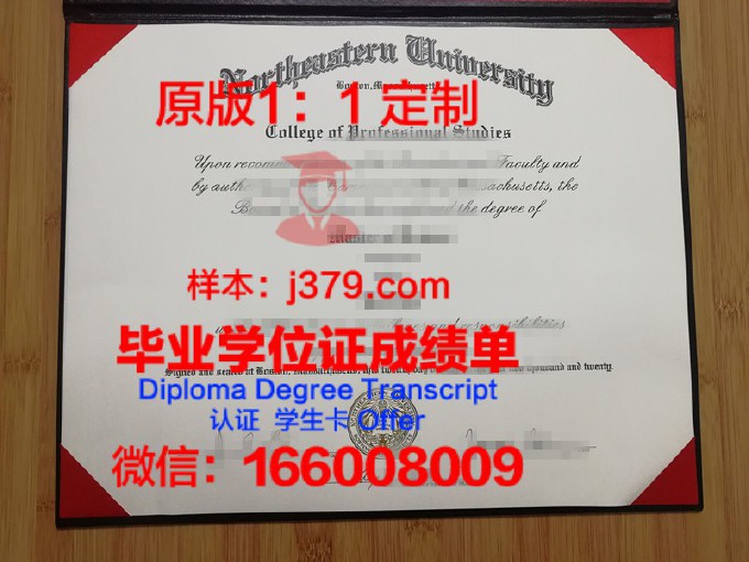 东北大学研究生毕业证书(东北大学的毕业证什么样子)