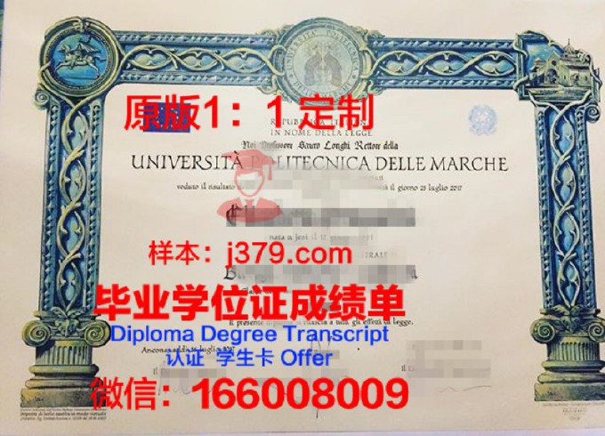 代尔夫特理工大学拿不了毕业证(代尔夫特理工大学回国就业)