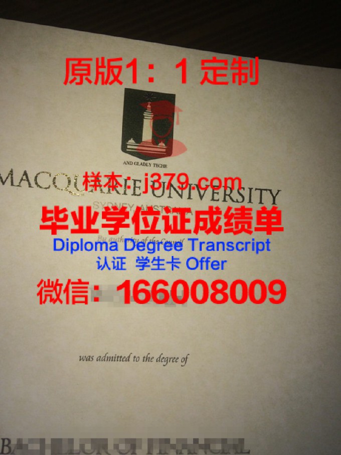 麦考瑞大学硕士毕业证书样本(麦考瑞大学毕业时间)