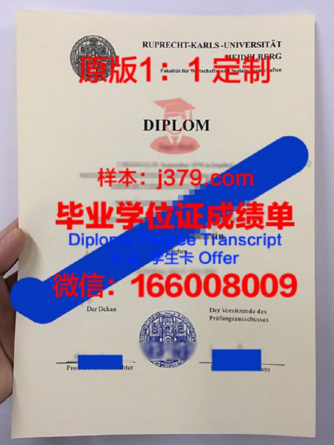 海德堡大学毕业证Diploma文凭成绩单