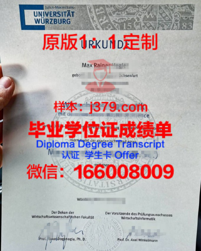 维尔茨堡大学毕业证Diploma文凭成绩单