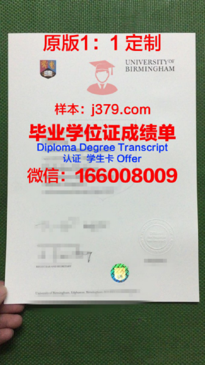 伯明翰大学毕业证Diploma文凭成绩单