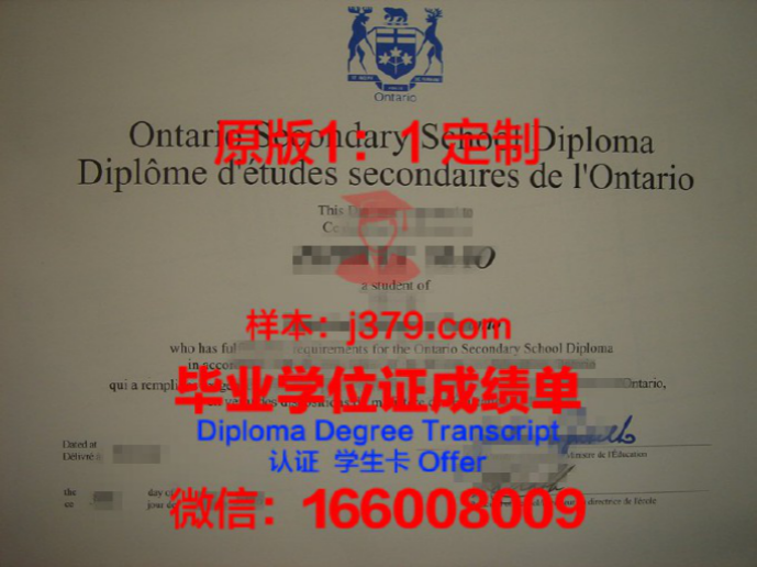 伊斯兰宣教学院diploma证书