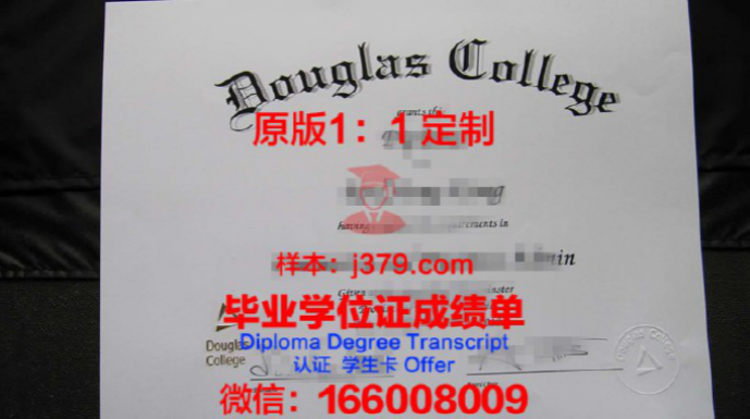 道格拉斯学院毕业证Diploma文凭成绩单