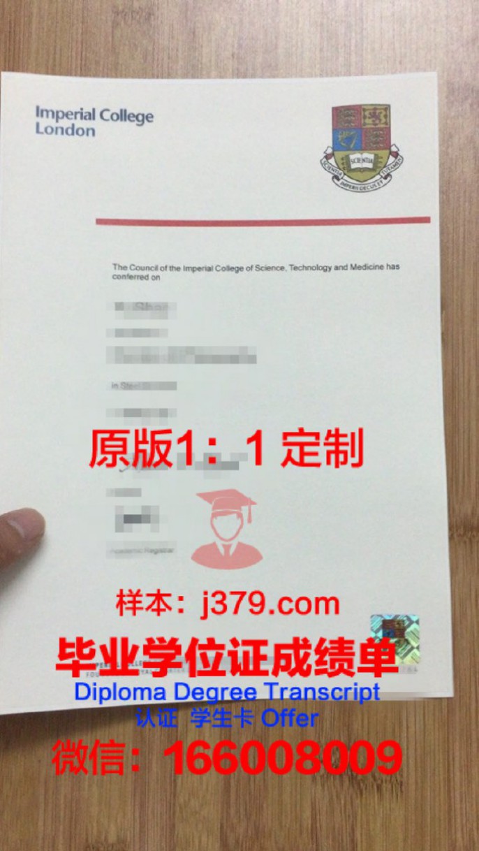 波尔多综合理工学院录取通知书OFFER定制，开启你的法国留学之旅