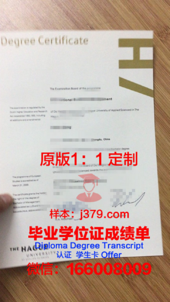 阿纳姆与奈梅亨应用科学大学录取通知书OFFER定制，开启你的荷兰留学之旅